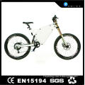 Modern design hot selling best electric bicycle battery for sale